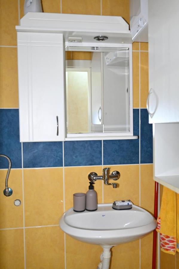 Apartment Tomasevic Paracin